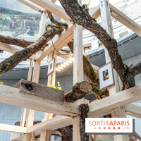 Exposition Avant l'orage à la Bourse de Commerce - Pinault Collection - urgence climatique