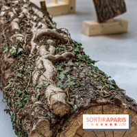Exposition Avant l'orage à la Bourse de Commerce - Pinault Collection - urgence climatique