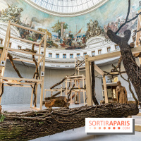 Exposition Avant l'orage à la Bourse de Commerce - Pinault Collection - urgence climatique