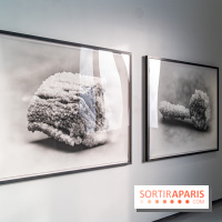 Exposition Avant l'orage à la Bourse de Commerce - Pinault Collection - urgence climatique