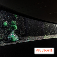 Exposition Avant l'orage à la Bourse de Commerce - Pinault Collection - urgence climatique