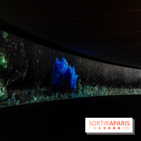 Exposition Avant l'orage à la Bourse de Commerce - Pinault Collection - urgence climatique