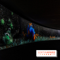 Exposition Avant l'orage à la Bourse de Commerce - Pinault Collection - urgence climatique