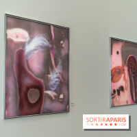 Exposition Avant l'orage à la Bourse de Commerce - Pinault Collection - urgence climatique