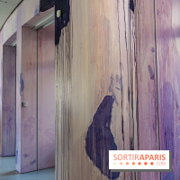 Exposition Avant l'orage à la Bourse de Commerce - Pinault Collection - urgence climatique