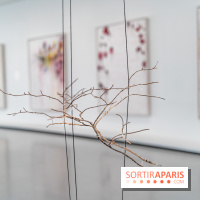 Exposition Avant l'orage à la Bourse de Commerce - Pinault Collection - urgence climatique