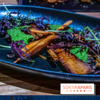 Restaurant Horizon Forbbiden West plat champignons