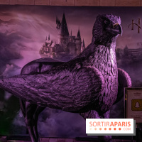 Hogwarts Legacy à Bercy Village