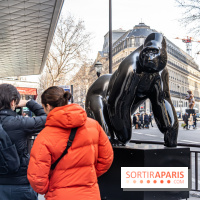 Exposition Fragiles colosses Boulevard Haussmann - photos - Michel Bassompierre -  A7C2507