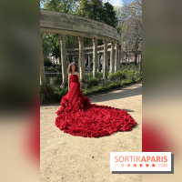 Flying Dress, le shooting photo en robe de princesses - FullSizeRender 2