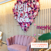 Bleu Coupole devient Rose Coupole pour la période Saint-Valentin -  A7C2475