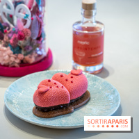 Bleu Coupole devient Rose Coupole pour la période Saint-Valentin -  A7C2487