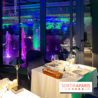 Soirée burlesque - Hôtel Paris j'Adore  - image00007