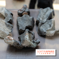 Exposition Notre-Dame de Paris - des bâtisseurs aux restaurateurs - Cité de l'Architecture -  A7C2741