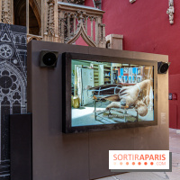 Exposition Notre-Dame de Paris - des bâtisseurs aux restaurateurs - Cité de l'Architecture -  A7C2855