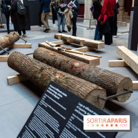 Exposition Notre-Dame de Paris - des bâtisseurs aux restaurateurs - Cité de l'Architecture -  A7C2857