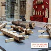 Exposition Notre-Dame de Paris - des bâtisseurs aux restaurateurs - Cité de l'Architecture -  A7C2877