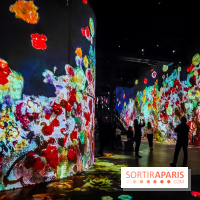 Chagall, Paris-New York, l'exposition immersive inédite de l'Atelier des Lumières - photos - IMG20230216095342