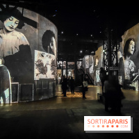 Chagall, Paris-New York, l'exposition immersive inédite de l'Atelier des Lumières - photos - IMG20230216094323