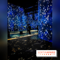 Chagall, Paris-New York, l'exposition immersive inédite de l'Atelier des Lumières - photos - IMG20230216094024