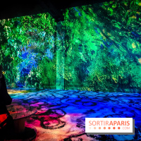 Chagall, Paris-New York, l'exposition immersive inédite de l'Atelier des Lumières - photos - IMG20230216100930