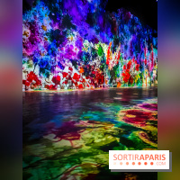 Chagall, Paris-New York, l'exposition immersive inédite de l'Atelier des Lumières - photos - IMG20230216095420