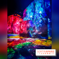 Chagall, Paris-New York, l'exposition immersive inédite de l'Atelier des Lumières - photos - IMG20230216101049