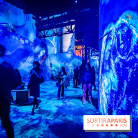 Chagall, Paris-New York, l'exposition immersive inédite de l'Atelier des Lumières - photos - IMG20230216100825