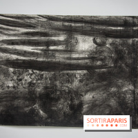 Exposition Ma Pensée Sérielle Miriam Cahn Palais de Tokyo