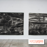 Exposition Ma Pensée Sérielle Miriam Cahn Palais de Tokyo