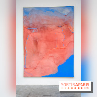 Exposition Ma Pensée Sérielle Miriam Cahn Palais de Tokyo - DSC 5485