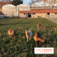 Fermes de Gally - Saint Denis - 121E8A17 ECDB 4F1B 90A8 CF8CA8E2C832