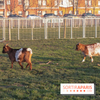 Fermes de Gally - Saint Denis - 85C3BDAD BB0B 44C8 8936 D4F8178C2E94