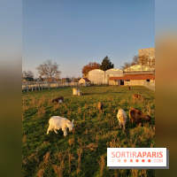 Fermes de Gally - Saint Denis - B4621AE0 CDC7 40BD 9ECE 46A2CB5176D9