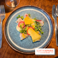 Perception - Sashimi daurade et tarama