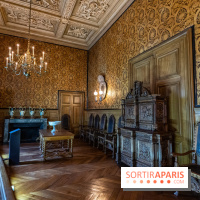 Château de Fontainebleau - Napoléon III et Eugénie -  A7C3919