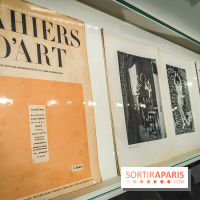 Matisse au musée de l'Orangerie : une exposition focus sur les années 1930 du peintre - nos photos - IMG20230301160553