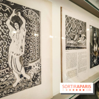 Matisse au musée de l'Orangerie : une exposition focus sur les années 1930 du peintre - nos photos - IMG20230301155228