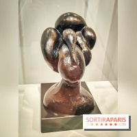 Matisse au musée de l'Orangerie : une exposition focus sur les années 1930 du peintre - nos photos - IMG20230301155415