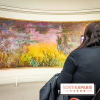 Musée de l'Orangerie - Nymphéas Monet