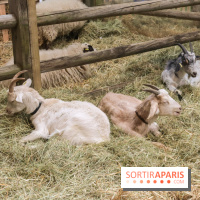 Salon de l'agriculture 2023
