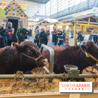 Salon de l'agriculture 2023