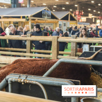 Salon de l'agriculture 2023