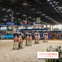 Salon de l'agriculture 2023