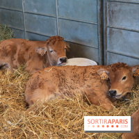 Salon de l'agriculture 2023 - 20230227161320 IMG 3955 (1)