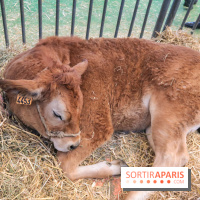 Salon de l'agriculture 2023 - 20230227160822 IMG 3948