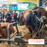 Salon de l'agriculture 2023