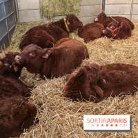 Salon de l'agriculture 2023