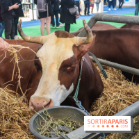 Salon de l'agriculture 2023