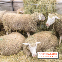 Salon de l'agriculture 2023